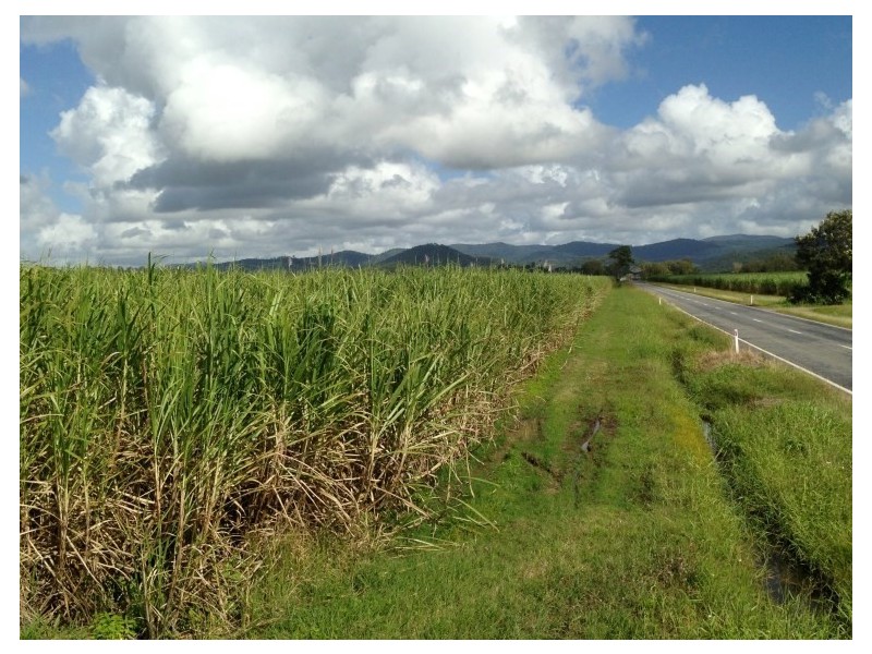 281 Sarina Homebush Road, Sarina QLD 4737