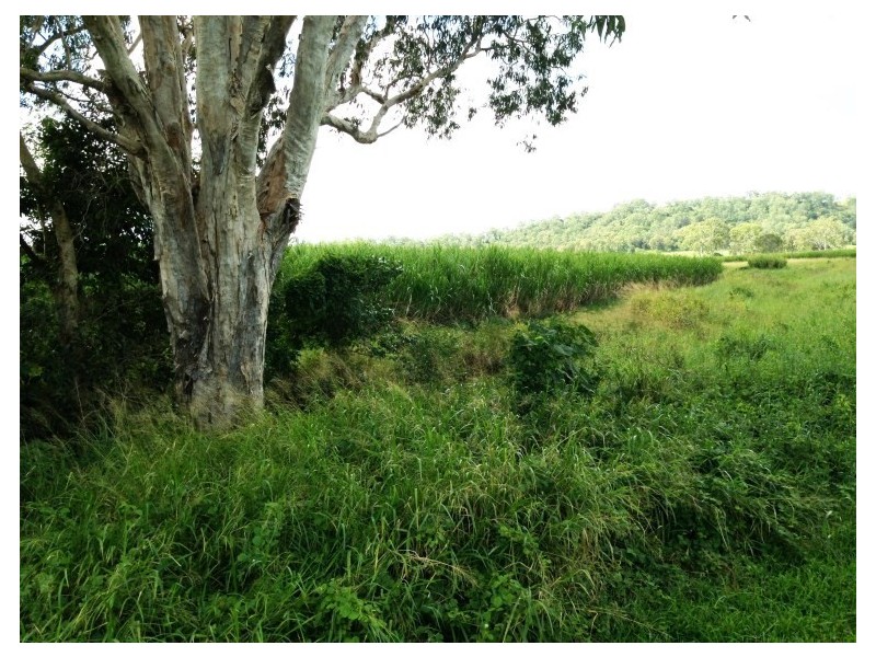 281 Sarina Homebush Road, Sarina QLD 4737