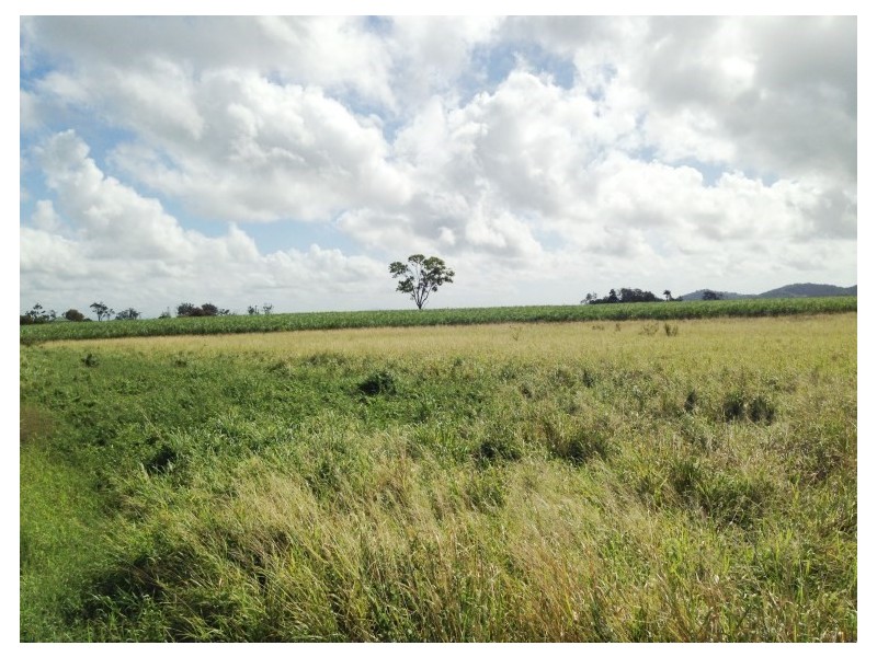 281 Sarina Homebush Road, Sarina QLD 4737