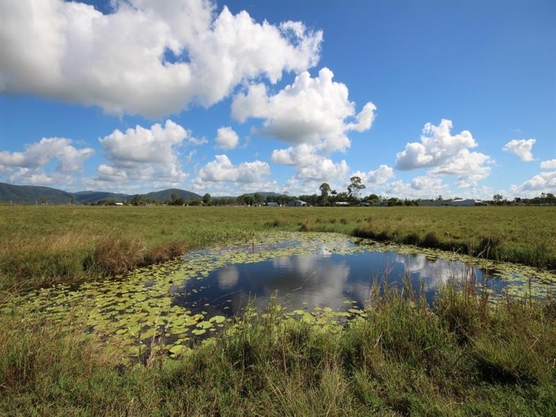 759 Munbura Road, Sarina QLD 4737