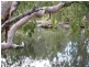 866 Riley Road, Koumala QLD 4738