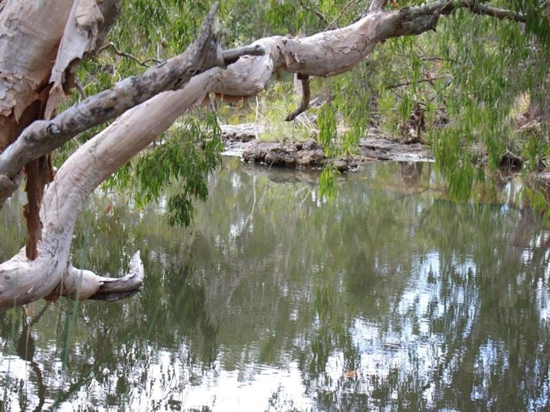 866 Riley Road, Koumala QLD 4738
