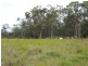 866 Riley Road, Koumala QLD 4738