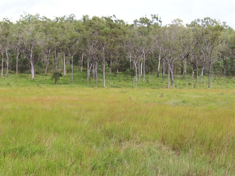 866 Riley Road, Koumala QLD 4738