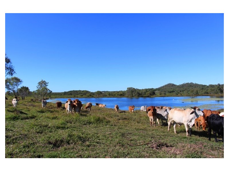 119 Finato, Sarina QLD 4737