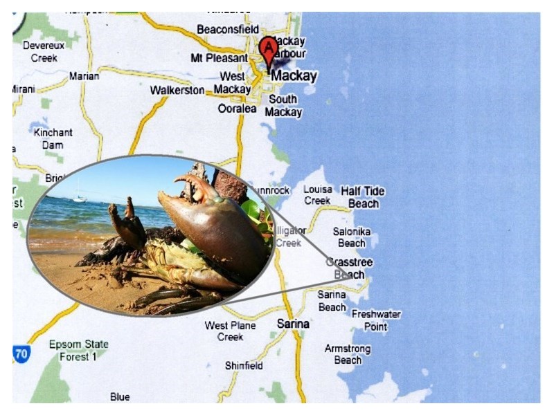 119 Finato, Sarina QLD 4737