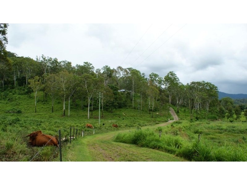 1280 Marlborough Sarina Road, Sarina QLD 4737