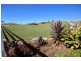 18 Jamae Court, Hay Point QLD 4740
