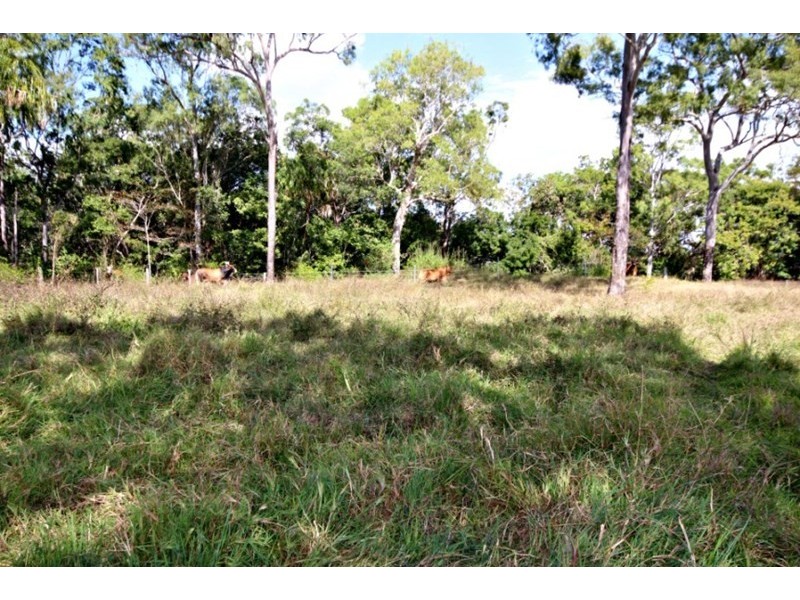 73 Hans Christian Street, Sarina QLD 4737