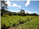 92 Wood Road, Koumala QLD 4738