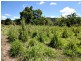 92 Wood Road, Koumala QLD 4738