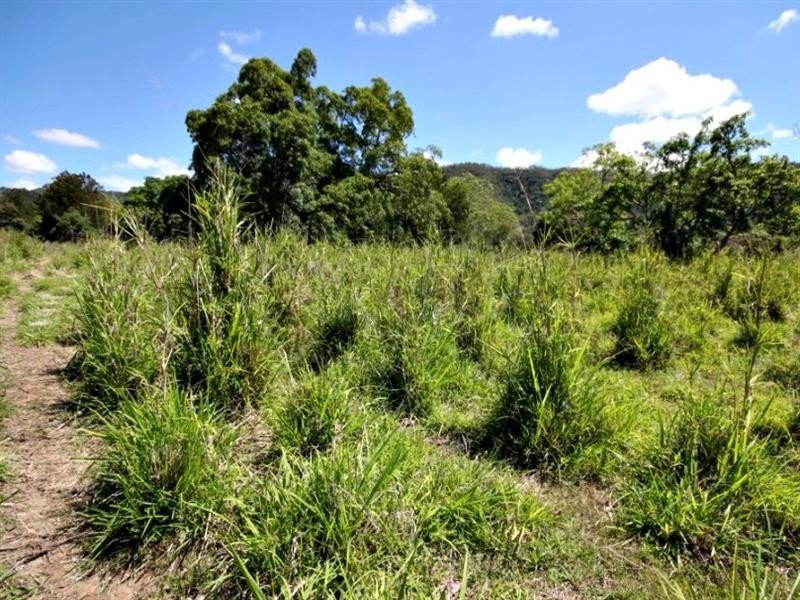92 Wood Road, Koumala QLD 4738