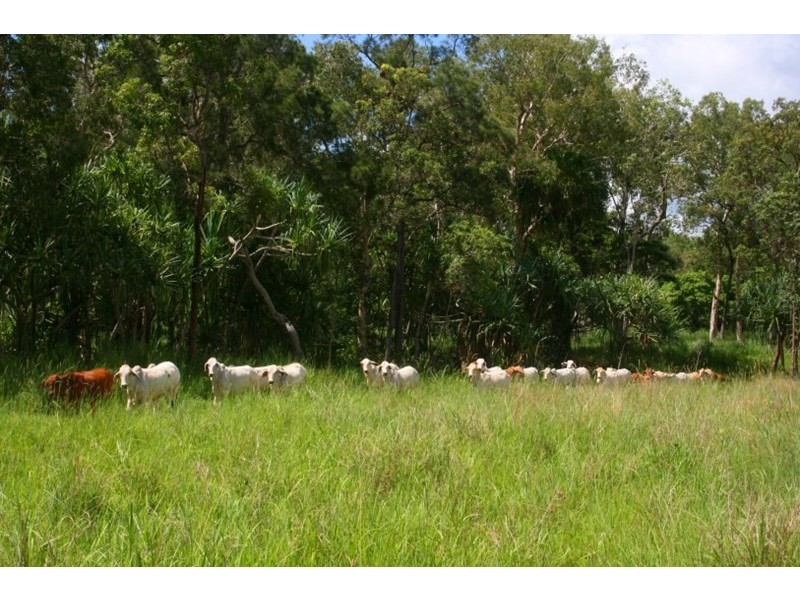 141 Muller Road, Sarina QLD 4737