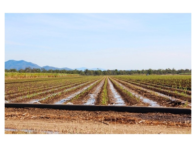 327 Weaver Road, Ayr QLD 4807