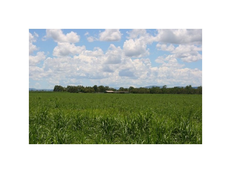 327 Weaver Road, Ayr QLD 4807