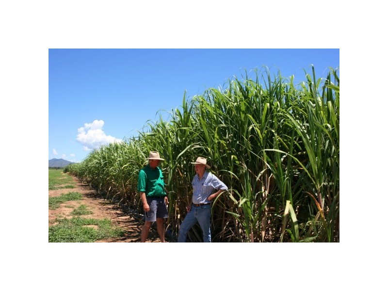 327 Weaver Road, Ayr QLD 4807