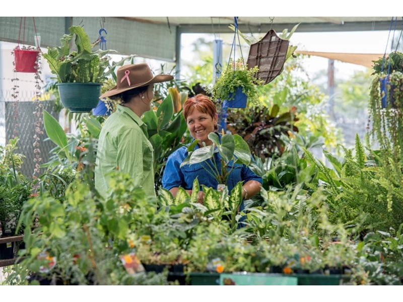 Middlemount QLD 4746