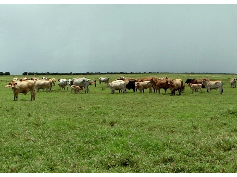 Middlemount QLD 4746