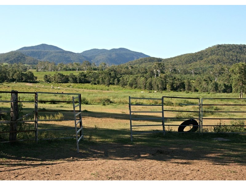 334 Redhead Road, Koumala QLD 4738