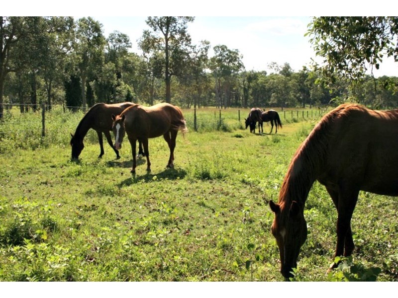 334 Redhead Road, Koumala QLD 4738