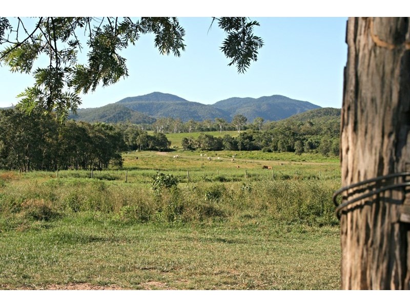 334 Redhead Road, Koumala QLD 4738