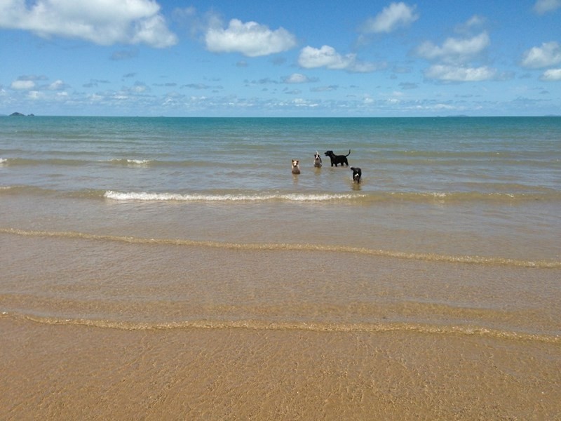 304 Greenhill Road, Ilbilbie QLD 4738