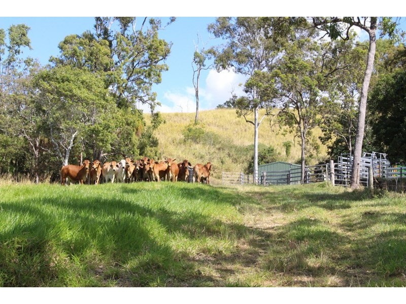 687 Grasstree Road, Sarina QLD 4737