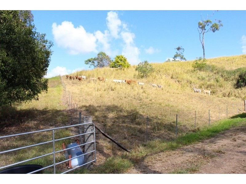 687 Grasstree Road, Sarina QLD 4737