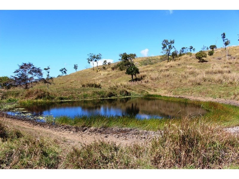 687 Grasstree Road, Sarina QLD 4737