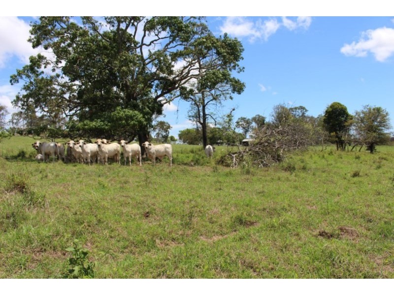 89808 Bruce Highway, Sarina QLD 4737