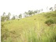 Sarina QLD 4737