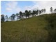 Sarina QLD 4737