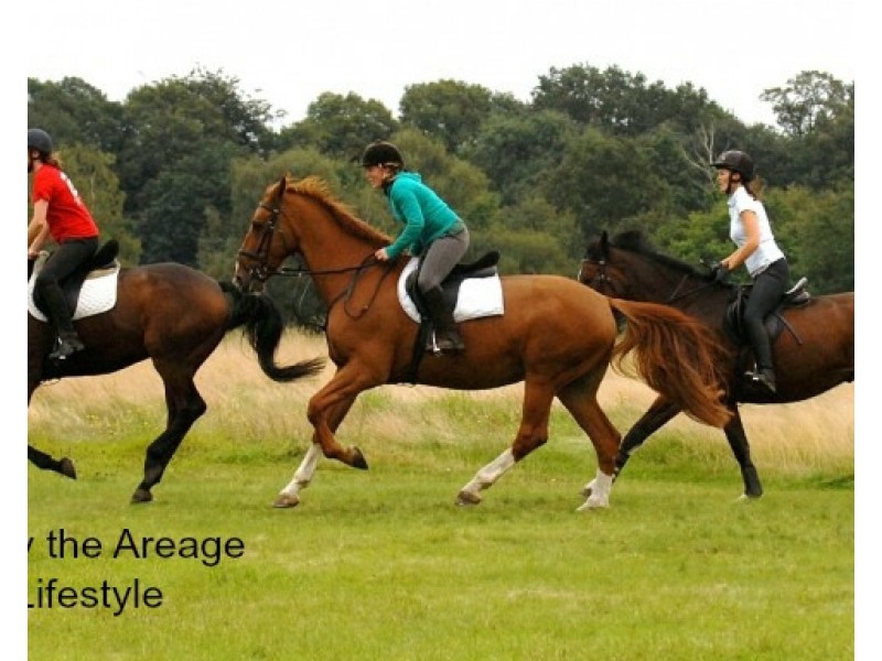 21 Mick Ready Road, Grasstree Beach QLD 4740