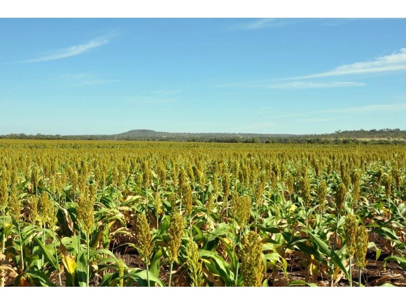 Middlemount QLD 4746