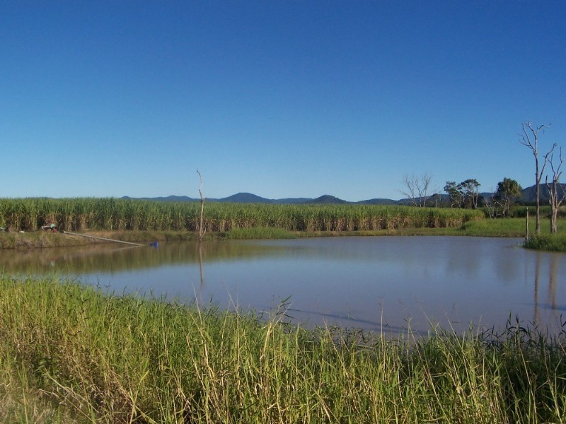 483 Dawlish Road, Sarina QLD 4737