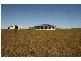 Ilbilbie QLD 4738