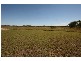 Ilbilbie QLD 4738