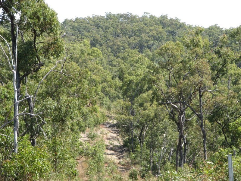 Lot 4 Palmerston Road, Ilbilbie QLD 4738
