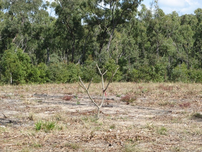 Lot 4 Palmerston Road, Ilbilbie QLD 4738
