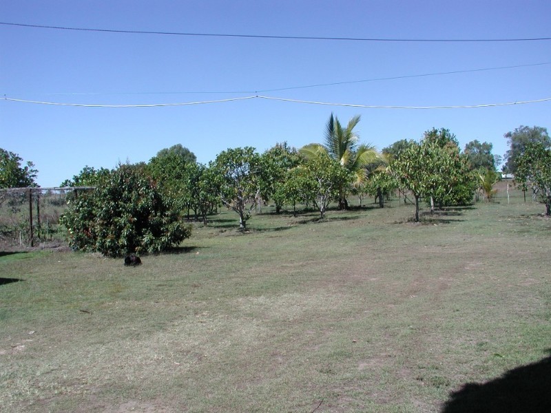 Lot 3 Flaggy Rock Road, Clairview QLD 4741