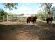 91336 Bruce Highway, Sarina QLD 4737