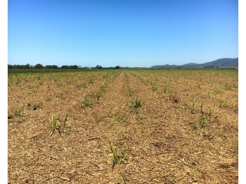 507 Eton Homebush Road, Oakenden QLD 4741