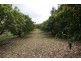 Hay Point QLD 4740