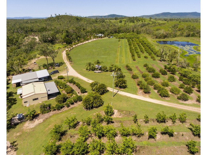 220 Staffords Road,, Bloomsbury QLD 4799