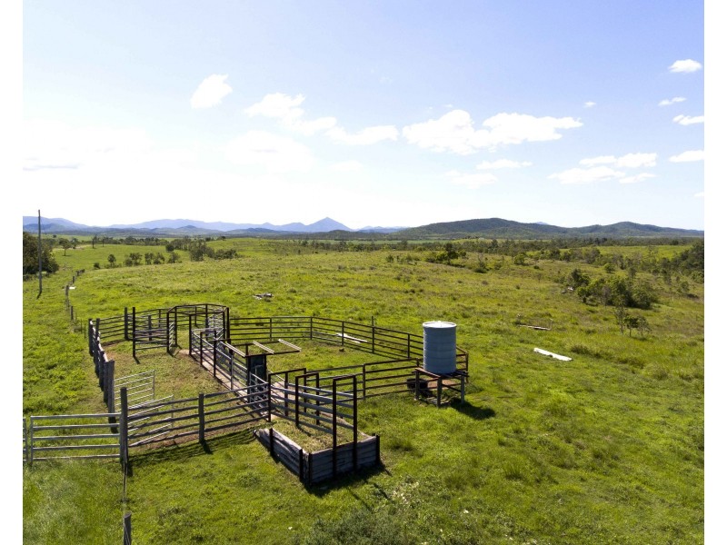 220 Staffords Road,, Bloomsbury QLD 4799