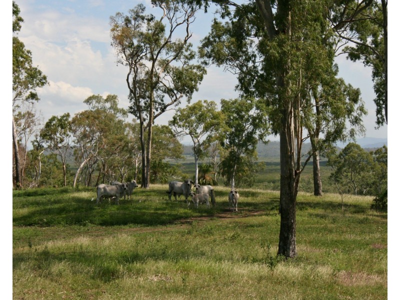 896 Sarina Beach Road, Sarina Beach QLD 4737