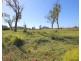34 Perry Road, Sarina QLD 4737