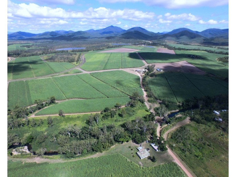 1426 Kelsey Creek Road, Proserpine QLD 4800