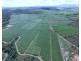 1426 Kelsey Creek Road, Proserpine QLD 4800