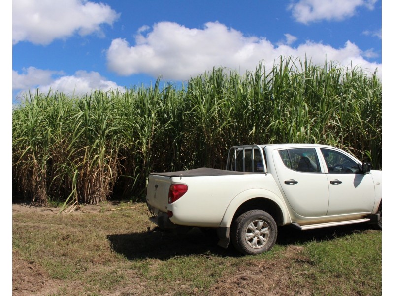 1426 Kelsey Creek Road, Proserpine QLD 4800